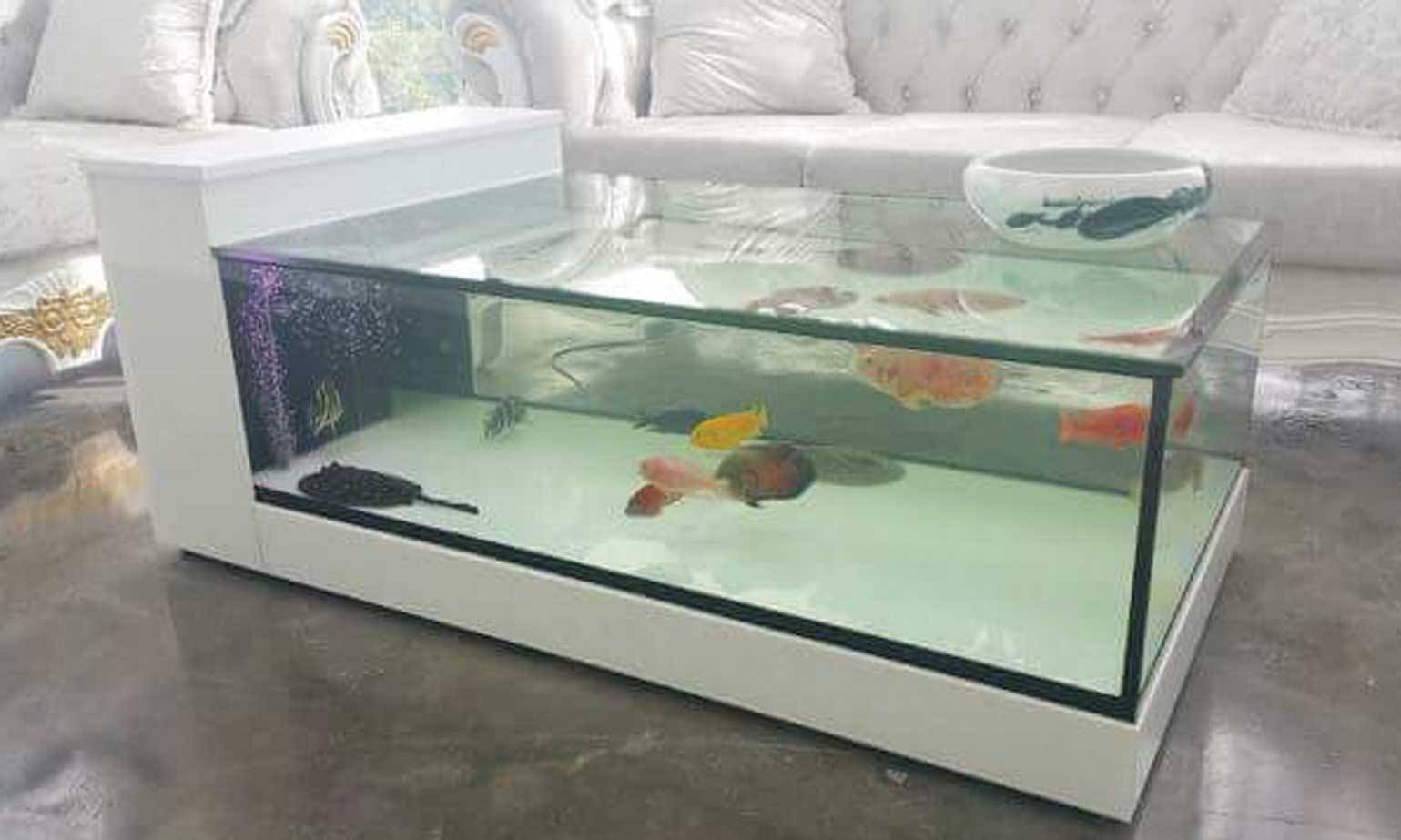 Featured image of post Fish Tank Center Table - Fish don&#039;t follow you from room to room like a dog or cat.
