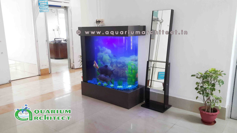 Bullet aquairum | bullet aquarium model | Aquarium Architect | Aquarium Chennai | Aquarium in chennai | Designer aquarium in chennai | Custom Aquariums
