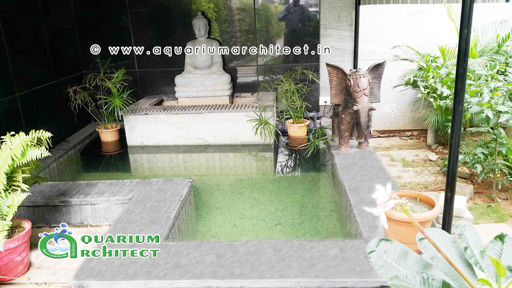 Pond Aquarium | Aquarium Architect | Aquaruium in chennai | pond aquairum in chennai | water fountain | Koin pond