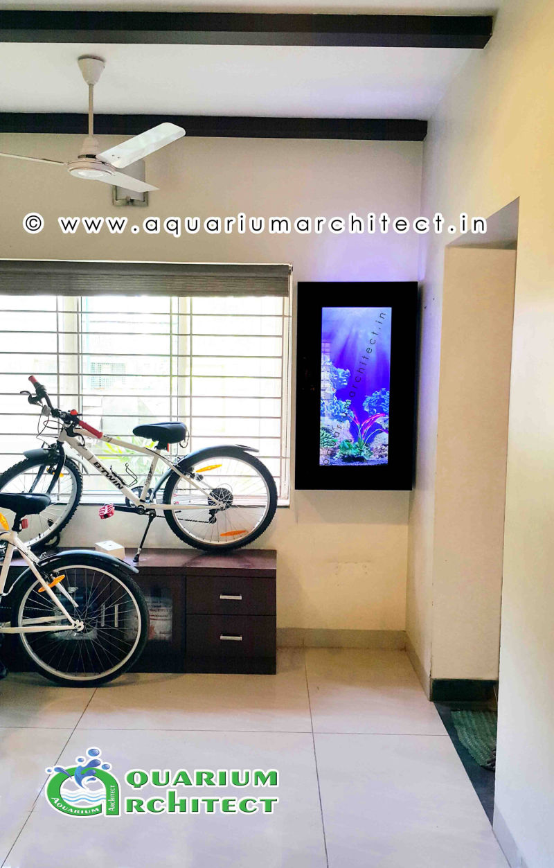 Customised aquarium | Aquarium Architect | Aquarium Chennai | Aquarium in chennai | Designer aquarium in chennai | Custom Aquariums