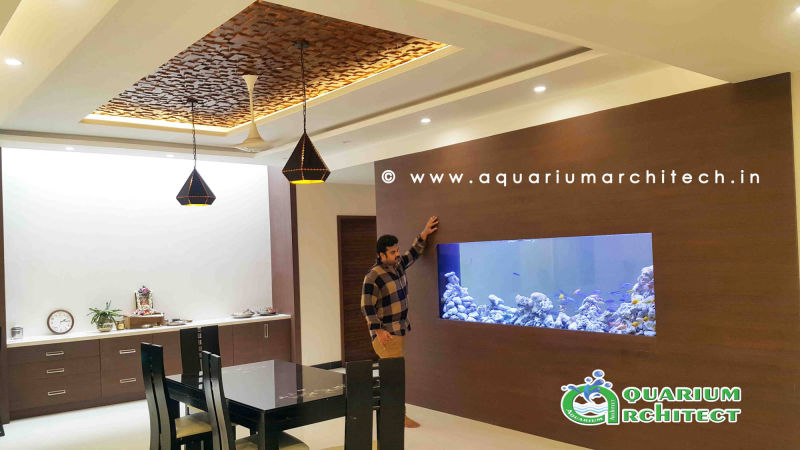 See Through Aquarium | Aquarium architect | Aquarium in chennai | Aquarium designer in chennai